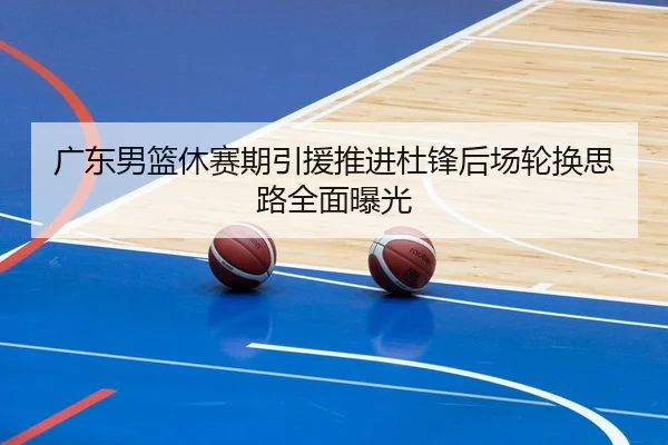 广东男篮休赛期引援推进杜锋后场轮换思路全面曝光 - milan.comapp